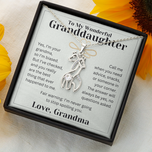 Gift For Granddaughter - Never Stop Spoiling You - Giraffe Necklace